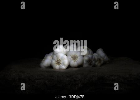 Knoblauchzwiebeln auf dunklem Stoff vor schwarzem Hintergrund, Stillleben-Food-Fotografie mit dramatischer dezenter Beleuchtung. Stockfoto