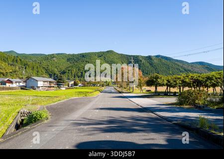 Eine friedliche Landstraße führt durch das Dorf Chikatsuyu, umgeben von grünen Reisfeldern und traditionellen Häusern mit üppigen bewaldeten Hügeln im Hintergrund unter einem klaren blauen Himmel. Stockfoto