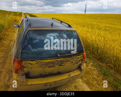 Staubbedecktes schwarzes Auto auf schlammiger Straße durch goldenes Weizenfeld. Der bewölkte Himmel reflektiert sich auf der Heckscheibe und sorgt für eine stimmungsvolle und abenteuerliche Atmosphäre. Stockfoto