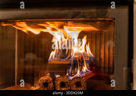 Feuer brennt im Kamin, Holzscheite und Flammen. Warmes Zuhause, Wärme Stockfoto