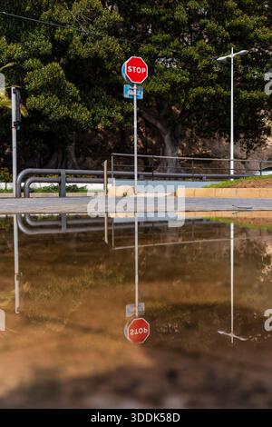 Achteckiges Stoppschild vor großen Bäumen im Hintergrund, die Szene spiegelt sich tagsüber auf dem Wasser auf dem Boden Stockfoto