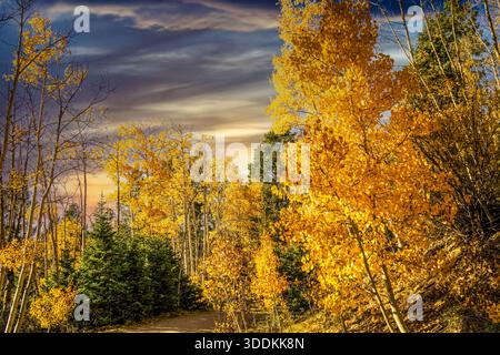 Ein herrlicher Bergwald mit einer Landstraße und Herbstlaub und herrlichem Himmel Stockfoto