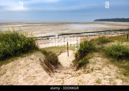 Sandiger Pfad durch Dünen in der Normandie, der zu einem breiten, leeren Strand bei Ebbe des Atlantischen Ozeans führt. Stockfoto