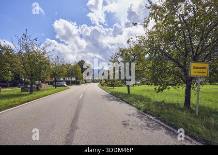Landschaft, Stadteingangsschild, Straße, Häuser, Bäume mit Herbstlaub, Hügel, Nadelwald, Wiese, Sonnenlicht, sonnig, bewölkt, blauer Himmel, Cumulus cl Stockfoto