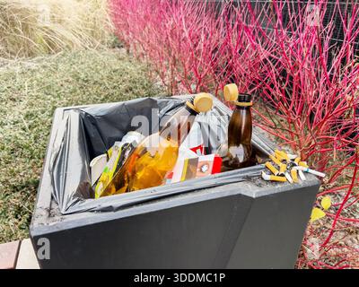 Ein überlaufender Mülleimer, gefüllt mit leeren Bierflaschen, Dosen und Zigarettenkippen, steht vor leuchtend roten Büschen. Das Bild stellt die Umwelt dar Stockfoto