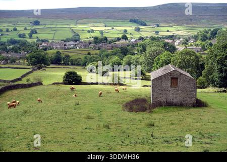 Stone Hay Barn & Cattle oberhalb des Dorfes Reeth in Swaledale vom Pfad zum „Fremington Edge“ im Yorkshire Dales National Park, England, Großbritannien. Stockfoto