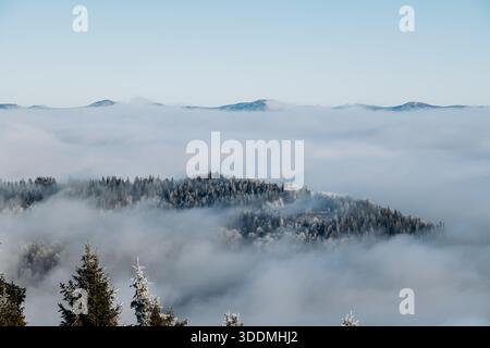 Nebeliger Winterwald und Berglagen Stockfoto