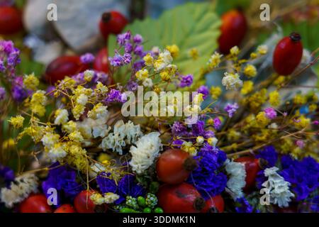 Blumen in einer farbenfrohen Ausstellung in der Natur. Stockfoto