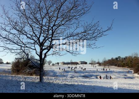 Epsom Downs Surrey, Großbritannien. Januar 2026. Der erste Schnee im Jahr 2026. Nächtlicher Schneefall hinterließ eine gute weiße Decke auf Epsom Downs. Mit Familien, die in der Nähe der Tribüne Schlitten fahren. Quelle: Julia Gavin/Alamy Live News Stockfoto