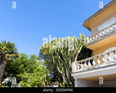 Mediterrane Villa mit reich verzierten Balkonen und Brüstungen, umgeben von üppigem tropischem Grün, darunter ein hoher Kakteen und eine Palme, unter einem hellen Blau Stockfoto