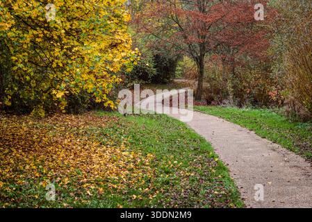 Ein kurviger Fußweg, der sich durch die herbstliche Vegetation in der britischen Landschaft schlängelt Stockfoto