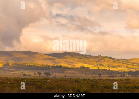 Golden Hour Sonnenlicht taucht sanft hügelige Hügel und Täler im Westkap, Südafrika. Dramatische Wolken glühen warm über geschichteten Landschaften von Stockfoto