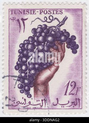 TUNESIEN - 25. Februar 1957: 12 Francs lila, violett und violett-braune Briefmarke mit symbolischem Kunstwerk einer Hand, die einen großen, Reifen Traubenstrauß hält. Dies symbolisiert den Reichtum und die Bedeutung des Weinbaus (Wein- und Traubenerzeugung) für die tunesische Wirtschaft und das mediterrane Erbe. 1956 war ein entscheidendes Jahr Tunesiens, das seine Unabhängigkeit von Frankreich bezeichnete. Dieser Stempel gehört zu einer endgültigen Serie, die während dieses Übergangszeitraums ausgestellt wurde. Obwohl es immer noch die französische Währung (Francs) verwendet, wird neben dem Französischen auch die arabische Schrift hervorgehoben, die eine nationale Identität bestätigt Stockfoto