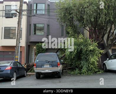 San Francisco, USA. Januar 2026. Über Nacht fiel ein Baum, der die Windschutzscheibe zerbrach und die Motorhaube eines geparkten Ford Explorers zerbrach. Thomas Hunter II/Alamy Live News Stockfoto