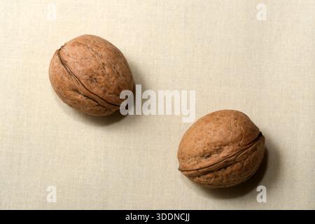 Zwei strukturierte Walnüsse sitzen anmutig auf einer neutralen Oberfläche und fangen weiches Licht ein. Stockfoto