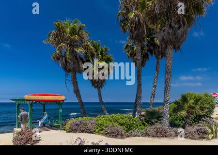 Landschaftlich gestalteter Park auf einer Klippe mit Blick auf den Strand von La Jolla, San Diego, Kalifornien, USA [keine Veröffentlichungen; nur redaktionelle Lizenzierung] Stockfoto