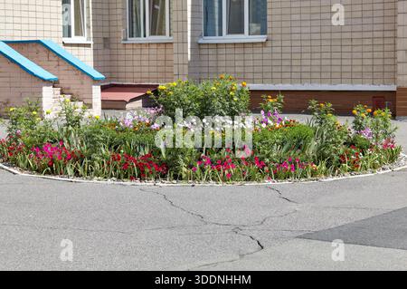 Kleines mehrfarbiges Blumenbeet in der Nähe des Hauses in Kiew, Europa. Malerische Aussicht auf farbenfrohe Blumen im Sommer Stockfoto