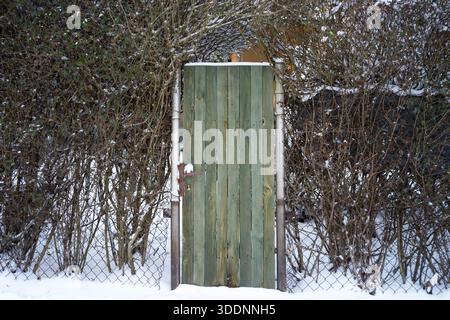 Verwittertes grünes Tor, eingerahmt von Hecken, alte Holztür mit abblätternder Farbe und Eisenverriegelung, Schneehaufen an der Basis, dichte Winterhecke Stockfoto
