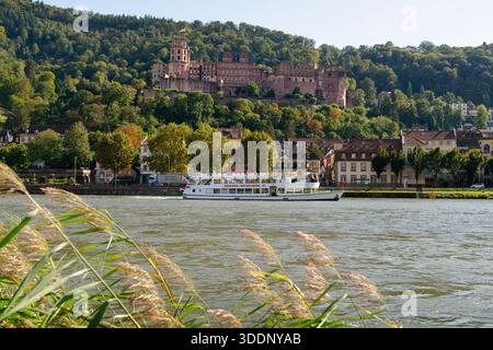 Heidelberg, Deutschland – 2. Oktober 2024 – Sightseeing Neckar Tour Boot Heidelberg.Ein Sightseeing Tour Boot auf dem Neckar in Heidelberg,. Stockfoto