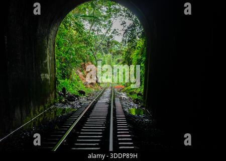 Ein fesselnder Blick auf einen Eisenbahntunnel, umgeben von dichtem Grün in San Cipriano, Buenaventura, Valle del Cauca, Kolumbien. Stockfoto
