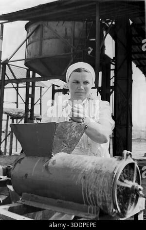 Slawjansk, Region Donezk, ukrainische SSR, Sowjetunion, 1950er-1960er Jahre Ein authentisches Archivporträt einer Arbeiterin der Öl- und Fettfabrik Slawens (Maslozhir). Die Frau in einem weißen Kopftuch und einer Schürze bedient eine mechanische Mahlmaschine oder Presse, die Material von Hand in den Trichter führt. Im Hintergrund ist eine schwere industrielle Infrastruktur zu sehen, darunter Stahlträger, Leitern und ein großes konisches Lagersilo. Dieses Vintage-Schwarz-weiß-Foto fängt die tägliche Arbeit und Atmosphäre der sowjetischen Lebensmittelindustrie ein. Stockfoto
