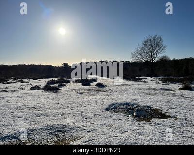 Sonnenaufgang über Neuschnee in einem Park in Birmingham Stockfoto