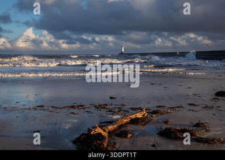 Berwick Pier und Lighthouse, der nördlichste in England Stockfoto
