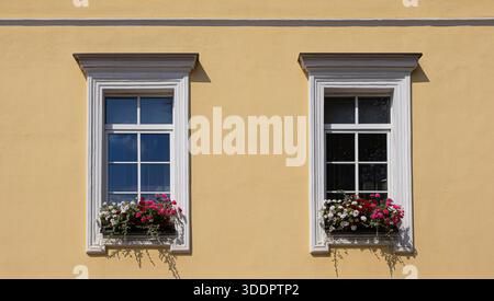 Gelbe Fassade mit zwei klassischen Fenstern, die mit farbenfrohen Blumenkästen aus Geranium geschmückt sind Stockfoto