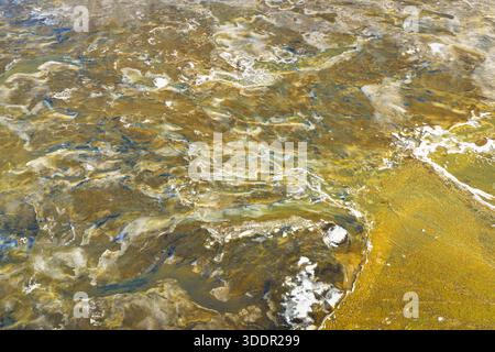 Aus der Vogelperspektive sehen Sie geschwungene Flüsse, die sich durch eine Landschaft aus goldenen Tönen und eisweißen Flecken schlängeln und einen faszinierenden Wandteppich natürlicher Kunst schaffen Stockfoto