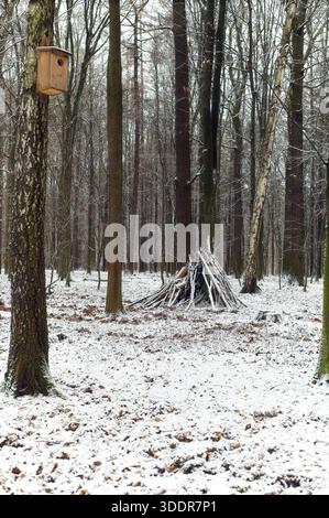 Ein handgefertigter, schlanker Unterschlupf, der aus Holzästen gegen einen Baumstamm in einem schneebedeckten Laubwald gebaut wurde. Stockfoto