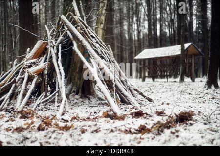 Ein handgefertigter, schlanker Unterschlupf, der aus Holzästen gegen einen Baumstamm in einem schneebedeckten Laubwald gebaut wurde. Stockfoto