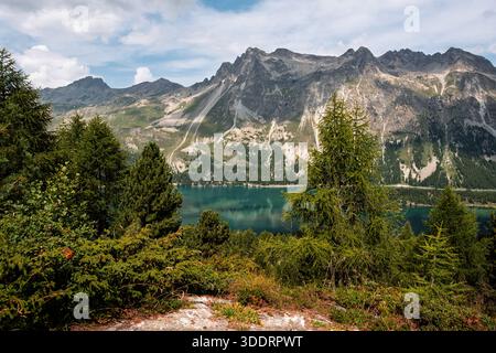 Atemberaubende Landschaft des Silser Sees mit türkisfarbenem Wasser umgeben von grünen Lärchen und den majestätischen Schweizer Alpen im Engadin im Sommer Stockfoto
