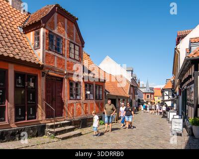 Leute schlendern entlang der Kopfsteinpflasterstraße Adelgade in der Altstadt von Ebeltoft, Jütland, Dänemark Stockfoto