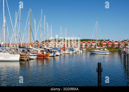 Segelboot, das in einer Reihe von verankerten Segelbooten in Skudehavn Yachthafen mit Hafenhäusern entlang der Uferpromenade, Ebeltoft, Jütland, Dänemark, einfährt Stockfoto