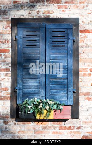 Blaue Fensterläden im europäischen Stil mit Blumenkasten. Blumentopf in den Farben der belgischen Flagge Stockfoto