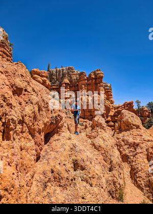 Red Canyon. Wüstenfelsen, sonnendurchfluteter Canyon mit hoch aufragenden Sandsteinformationen und karger Vegetation. Arches Nationalpark, Moab in Utah, USA. Stockfoto