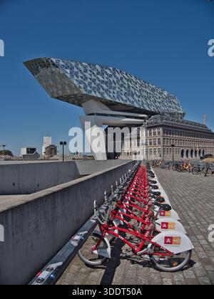 Amberes-Antwerpen-Belgien-12. August 2024, architektonischer Kontrast: Zaha Hadids modernes Antwerpener Hafenhaus (Havenhuis) über dem historischen Gebäude Stockfoto