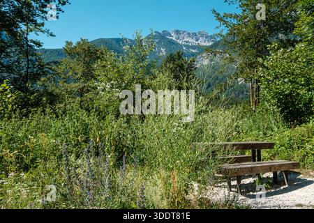 Holzbank und Tisch auf einem Kiesweg in Slowenien, umgeben von Wildblumen, bewaldeten Hügeln und Bergblick. Stockfoto