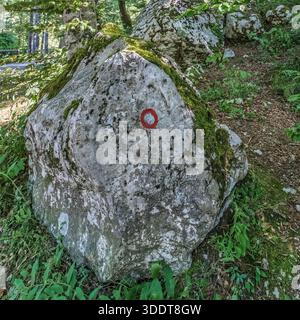 Felsen mit rotem Wanderweg entlang des Savica Wasserfallweges im Nationalpark Triglav, Slowenien, umgeben von Waldvegetation. Stockfoto