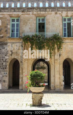Bogengänge aus dem Innenhof der Kirche St. Anna in der Altstadt von Jerusalem, Israel Stockfoto