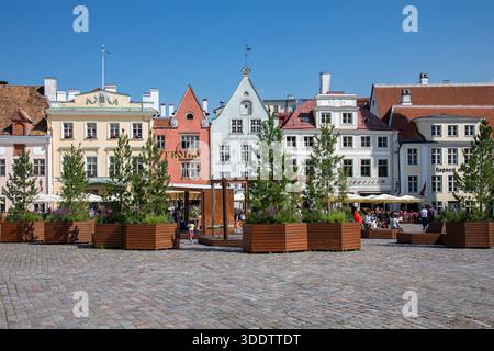 Raekoja Plats Rathausplatz in der Altstadt von Tallinn, Estland Stockfoto
