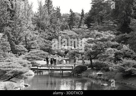 Besucher überqueren eine hölzerne Brücke über einen ruhigen Teich, umgeben von lebendigen Bäumen im japanischen Garten von Seattle Stockfoto