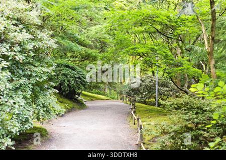 Friedlicher Waldweg umgeben von üppigem Grün im Seattle Japanese Garden Stockfoto