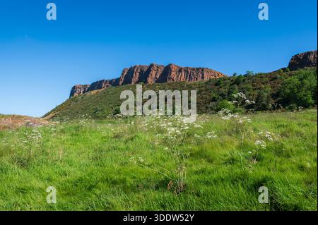 Salisbury Crags Klippen von Queen's Drive an einem sonnigen Tag, Holyrood Park, Edinburgh, Schottland Stockfoto