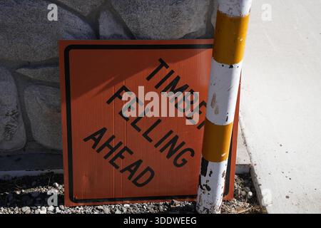 Ein hellorangefarbenes Warnschild mit der Aufschrift „HOLZ FÄLLT VORAN“ steht neben einem gestreiften Baumast an einer Felsmauer. Stockfoto