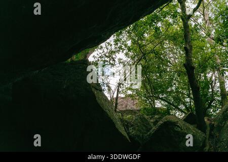 Die Szene zeigt große, dunkle Felsformationen, die einen Rahmen um die Bäume und den Himmel bilden. Sri Lanka Stockfoto