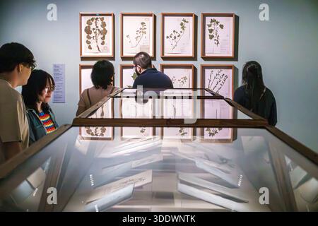 Mexiko-Stadt Mexiko, Museo Kaluz Kunstmuseum, Erwachsene Erwachsene Erwachsene, Mann Männer männlich, Frau Frauen weiblich, hispanisch Latino mexikanisch, Museumsbesucher, Kunstausstellung besichtigen, Stockfoto