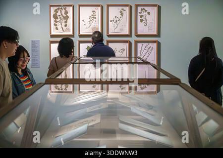 Mexiko-Stadt Mexiko, Museo Kaluz Kunstmuseum, Erwachsene Erwachsene Erwachsene, Mann Männer männlich, Frau Frauen weiblich, hispanisch Latino mexikanisch, Museumsbesucher, Kunstausstellung besichtigen, Stockfoto