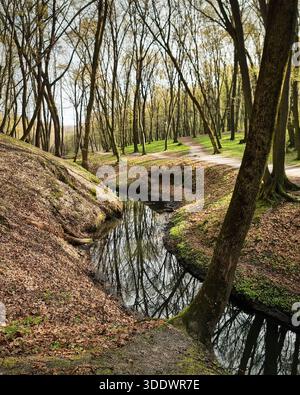 Malerischer Fluss und Wanderwege in einem Quellpark. Gelassenheit im Park: Ein schmaler Bach, der durch einen sonnendurchfluteten Wald schlängelt. Stockfoto