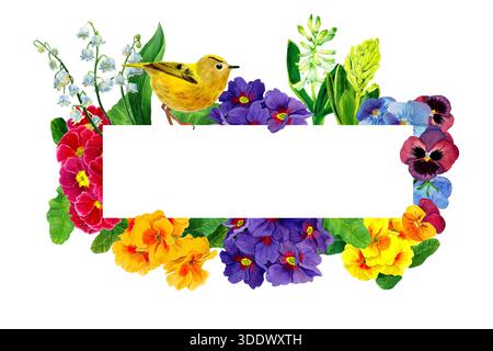 Horizontaler Rahmen mit Aquarellblumen Primel, Hyazinthe, Maiglöckchen, sitzender kleiner Vogel. Vorlage für Text auf weißem Hintergrund. Stockfoto